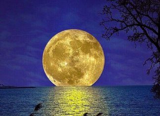 Grand Directeur Divin : Salutations !