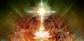 Alignement Élargi avec Votre Âme