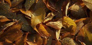 Vous Étiez Là avec Moi