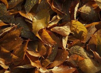 Vous Étiez Là avec Moi