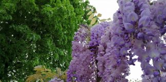 APRÈS LA PEUR, AU-DELÀ DES NUAGES !