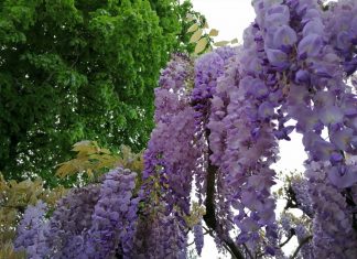 APRÈS LA PEUR, AU-DELÀ DES NUAGES !