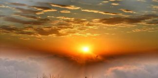 Plus Profondément dans la Volonté