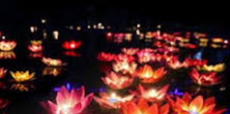 Fédération Galactique : Votre pouvoir intérieur est la clé