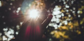 Exactement la même, aucune différence