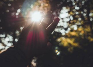 Exactement la même, aucune différence