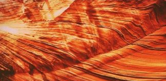 La spatule de l’Esprit