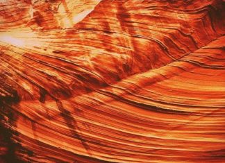 La spatule de l’Esprit