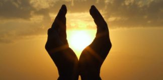 Le Créateur – Le Plan Directeur