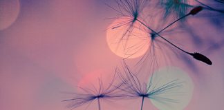 Le Créateur – Avoir la Foi