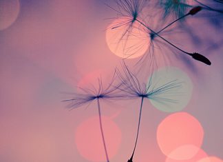 Le Créateur – Avoir la Foi