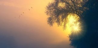 VOUS ÊTES LA VÉRITÉ DU CRÉATEUR