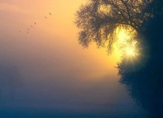 VOUS ÊTES LA VÉRITÉ DU CRÉATEUR