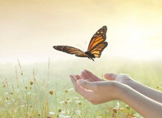 Le Créateur – Descendre ou Laisser aller ?