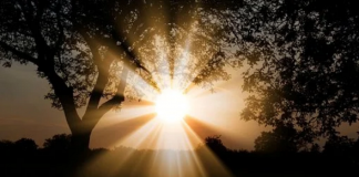 L’énergie de la Lumière Divine comme puissant Exorcisme