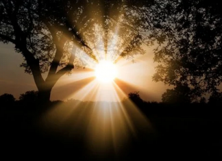 Guidances aux Êtres en Conscience #52