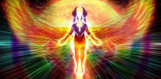 L’Ajustement à la montée en Vibration, le chemin de la Guérison en Conscience