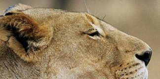 Le Créateur – Sentiment de sécurité