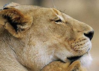 Le Créateur – Sentiment de sécurité