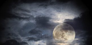 Le Créateur – Solitaire