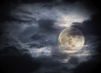 Le Créateur – Solitaire