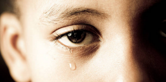 Les Enfants du Cargo « Ever Given »…