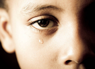 Les Enfants du Cargo « Ever Given »…