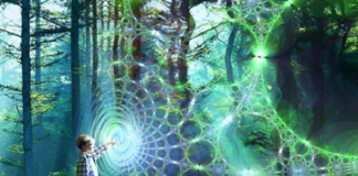 Le Créateur – Lumière et Croissance