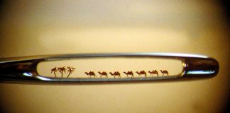 La Lumière à travers l’œil