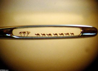 La Lumière à travers l’œil