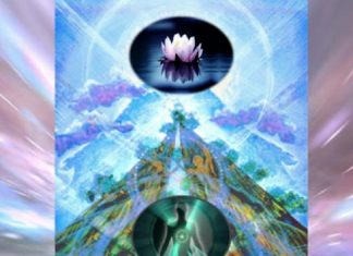 Nous, les Membres de VOTRE Famille Galactique