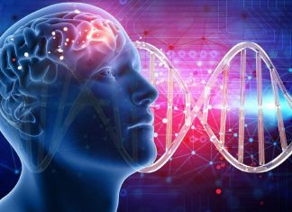 La Maladie est une Émotion non exprimée enfermée dans les Cellules de votre Corps