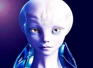 En route vers la liberté !