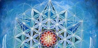 Ma Tribu d’Âme en lien avec Gaia – Première partie