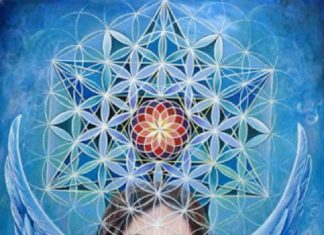 Ma Tribu d’Âme en lien avec Gaia – Première partie