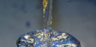 Le Créateur – Tout ce dont vous avez besoin