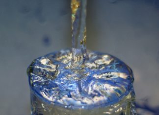 Le Créateur – Tout ce dont vous avez besoin