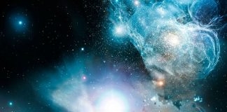 Niveaux de Conscience