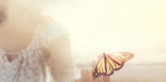 Le Créateur – Votre Divinité