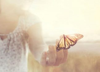 Le Créateur – Votre Divinité