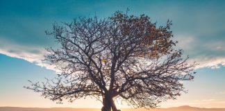 Réception de l’extension