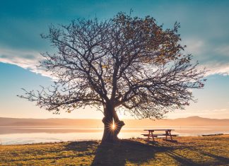 Réception de l’extension