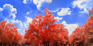 Un nouveau jour se lève