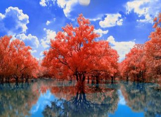 Un nouveau jour se lève