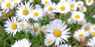 Juste pour un moment, oubliez