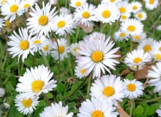 Juste pour un moment, oubliez