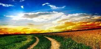 Embrasser la Liberté