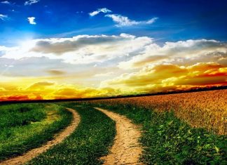 Embrasser la Liberté