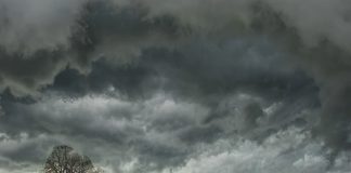 ADIEU MANIPULATION PERVERSE – Seconde partie