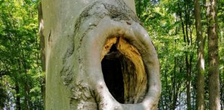 Le Secours de l’Esprit